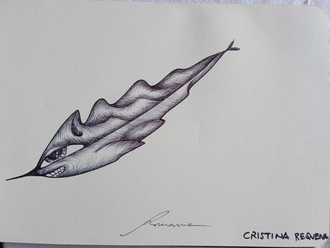 dibujo797B.jpg