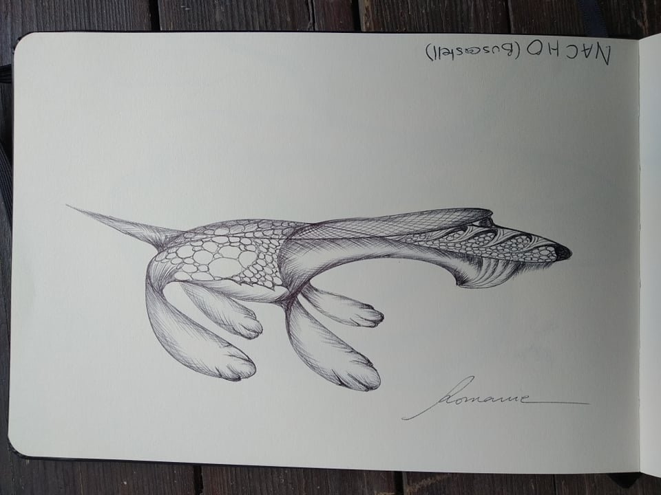 dibujo258B.jpg