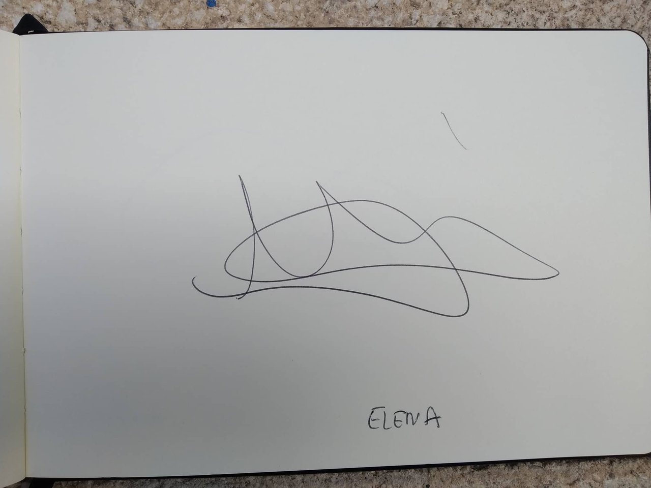 dibujo343A.jpg