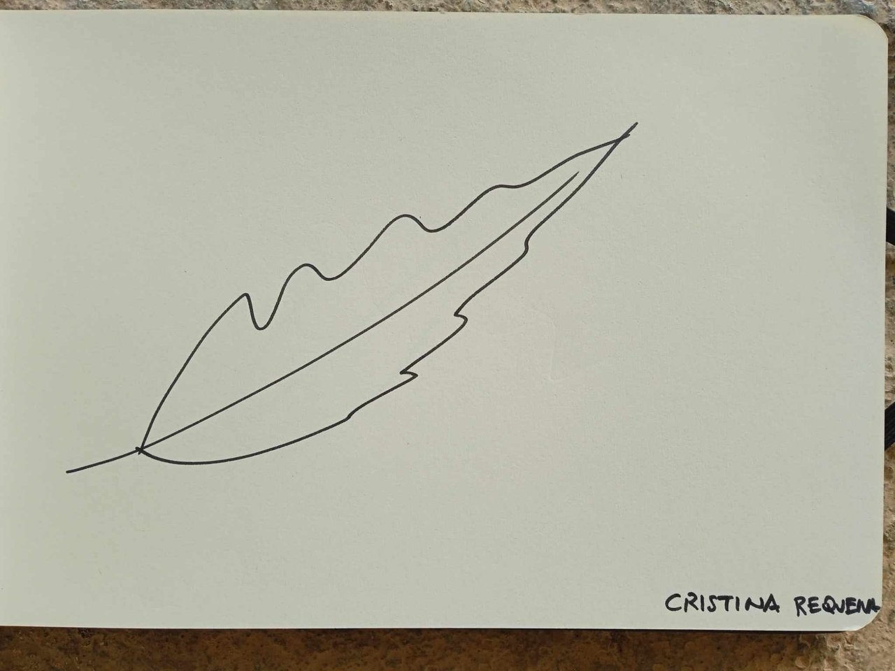 dibujo797A.jpg