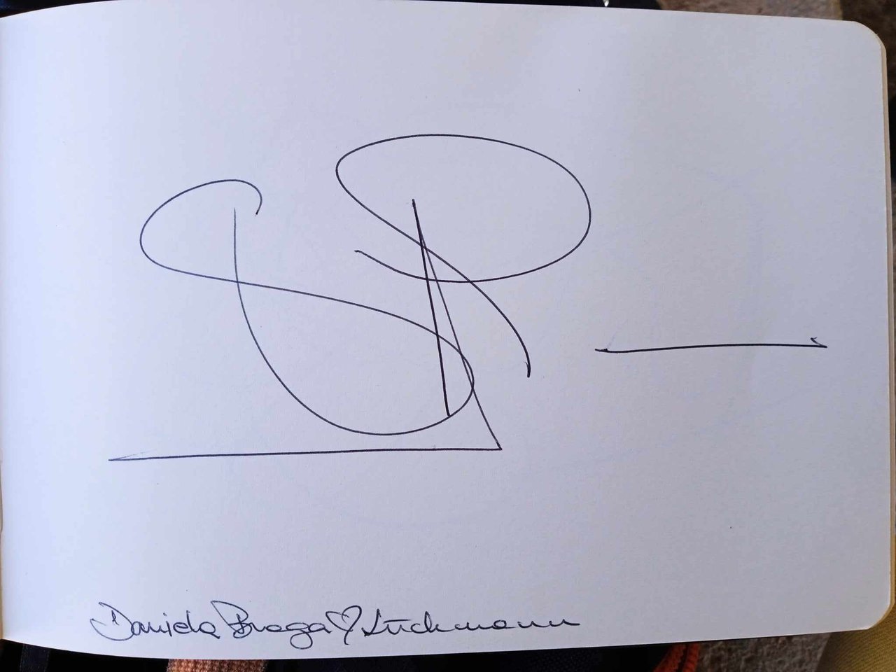 dibujo814A.jpg