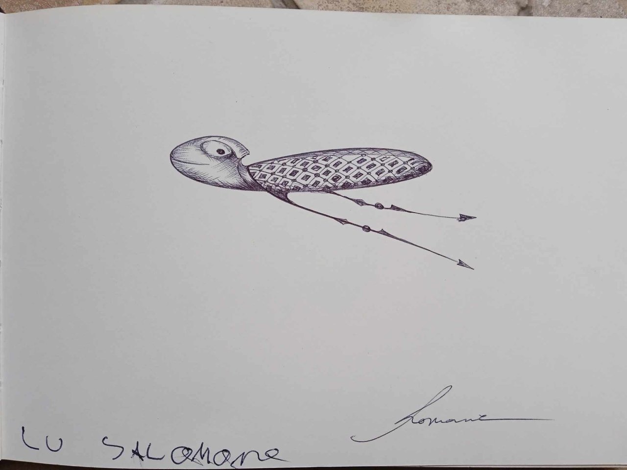 dibujo807B.jpg
