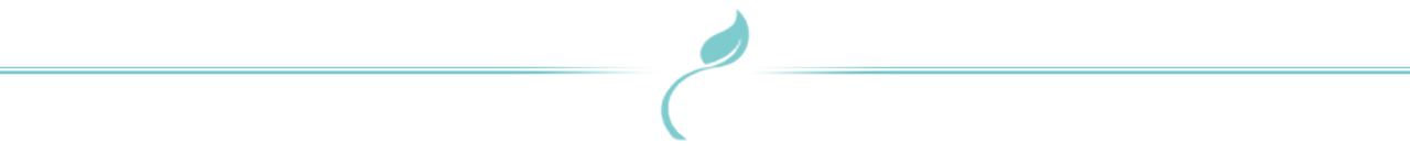 separador.png