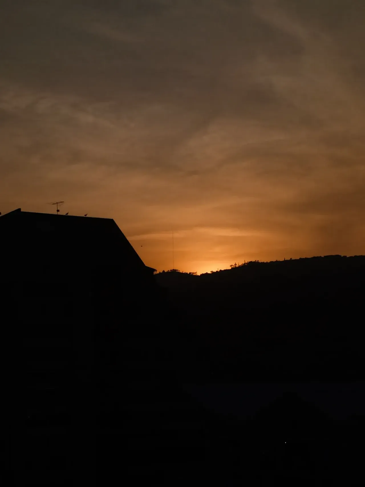 as1KMnYrki4lTCih_IMG_20250413_181238_884.webp