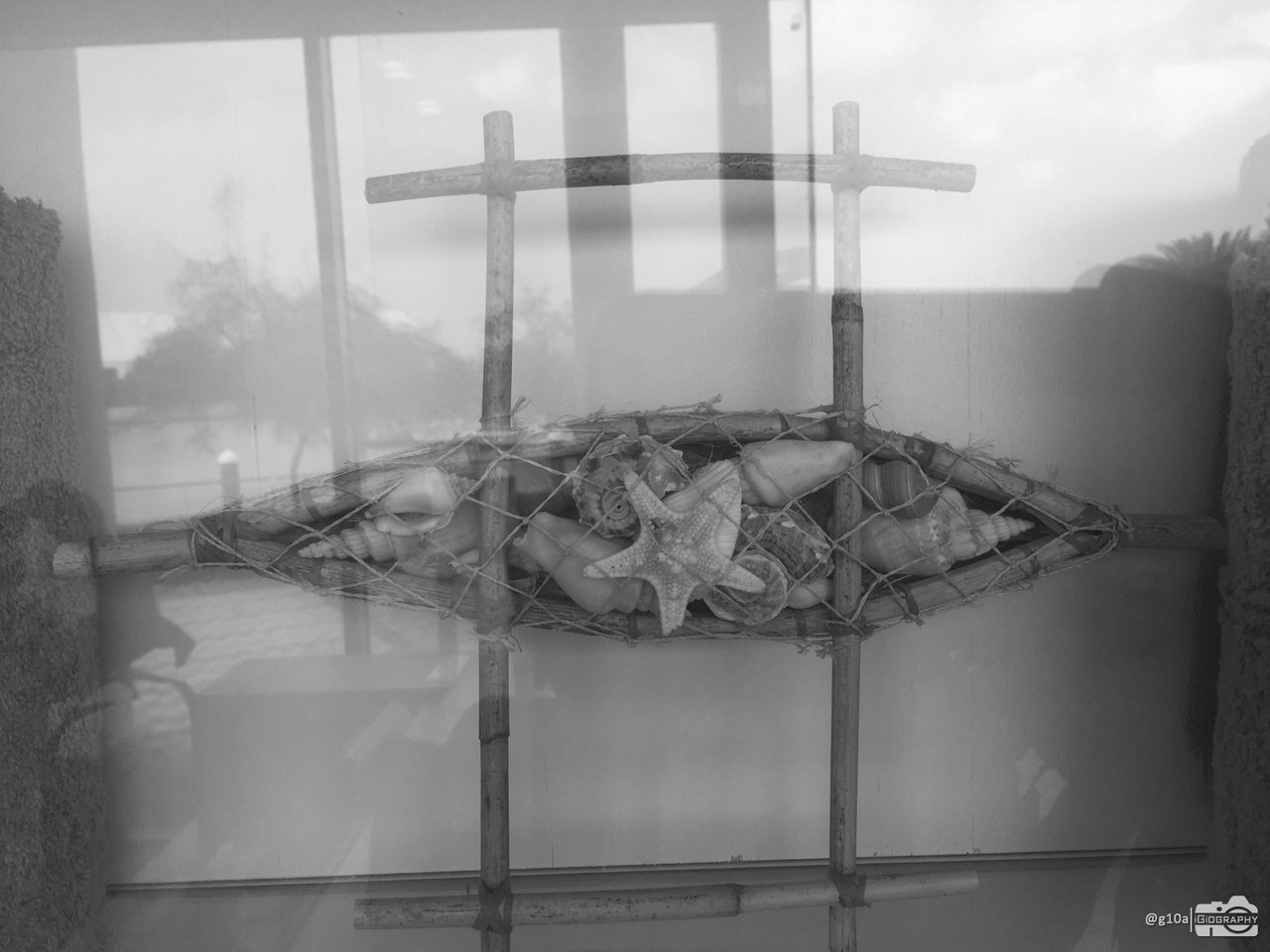 BNW 25-SEPT-19.jpg