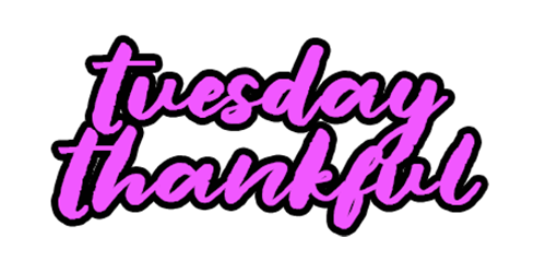 Tuesday Thankful Gif
