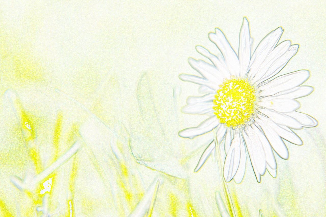 08May13_930_color_pencil_1600.JPG