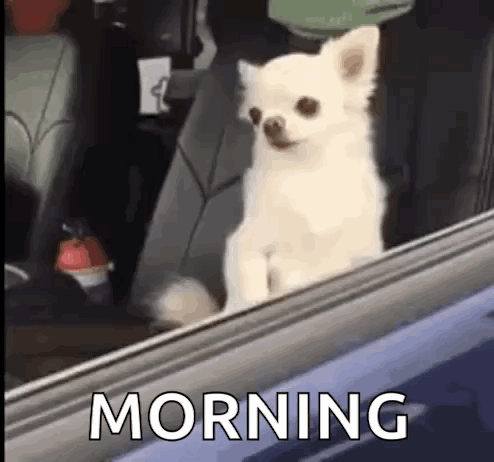 untitled.gif