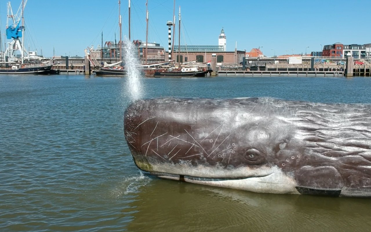 Close up of the HiveWhale