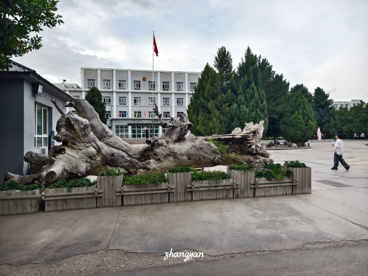 QSC78Xv9bBdHFaau_1000037839.webp