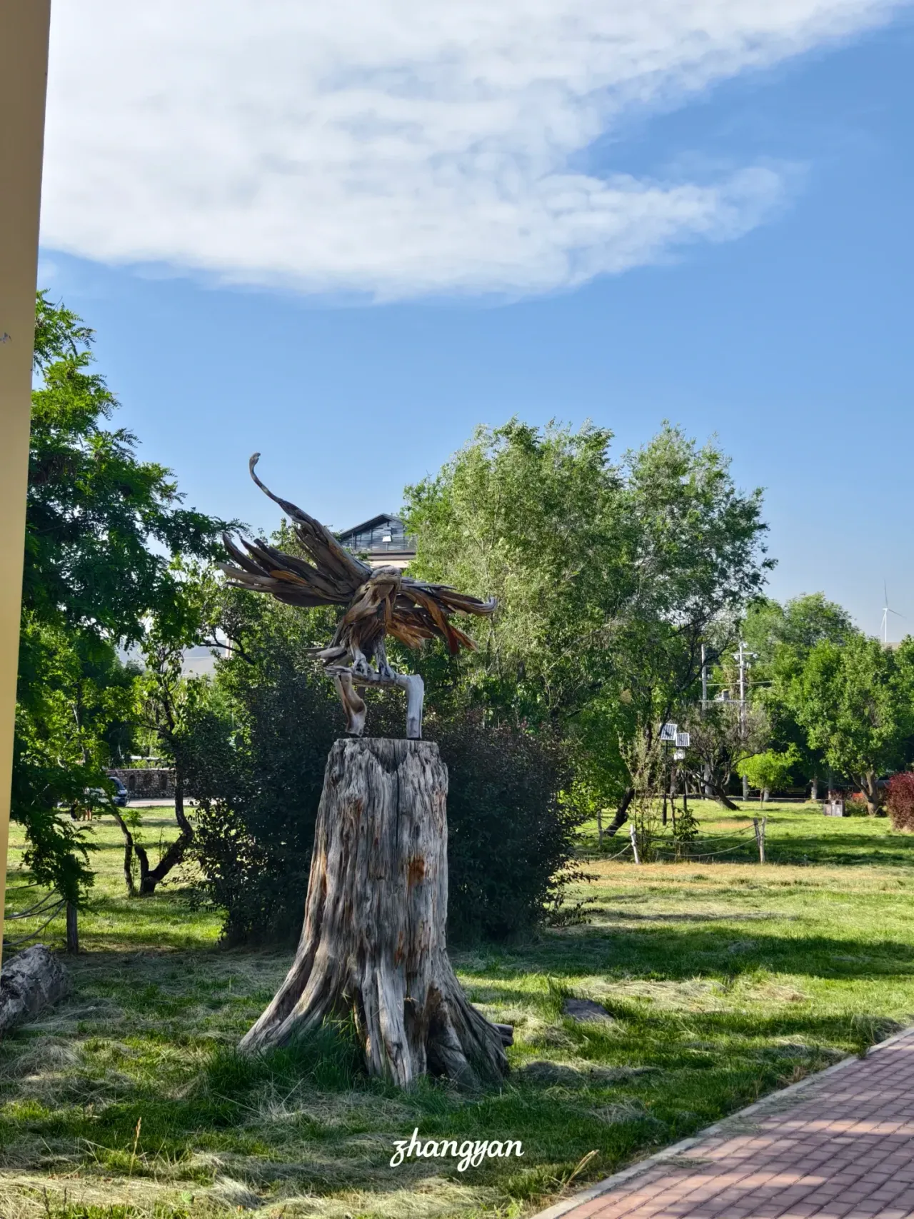 YnqJexJ0K2GnrDgk_1000037822.webp