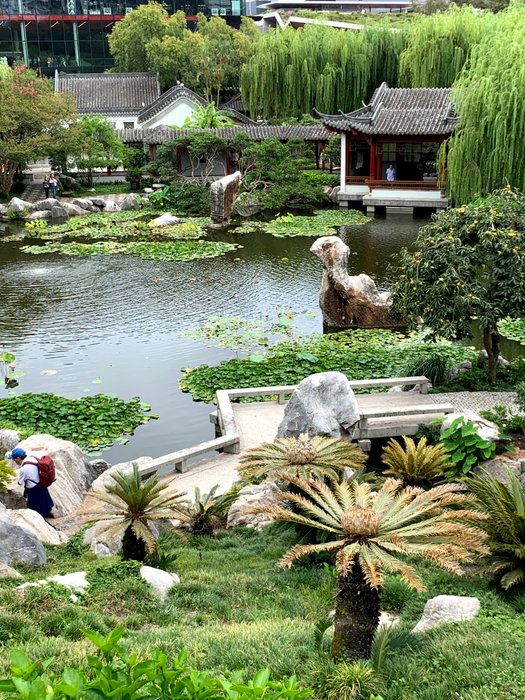 El jardín chino / The Chinese Garden / Chiński ogród