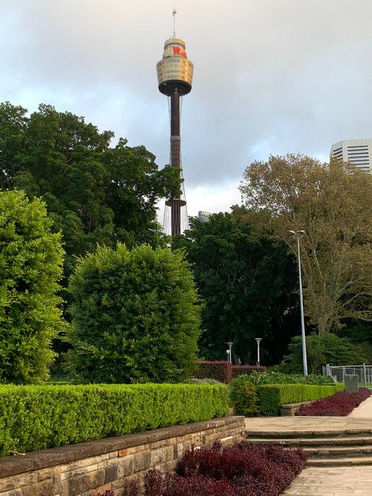 La Torre de Sydney / Sydney Tower Eye / Wieża widokowa w Sydney