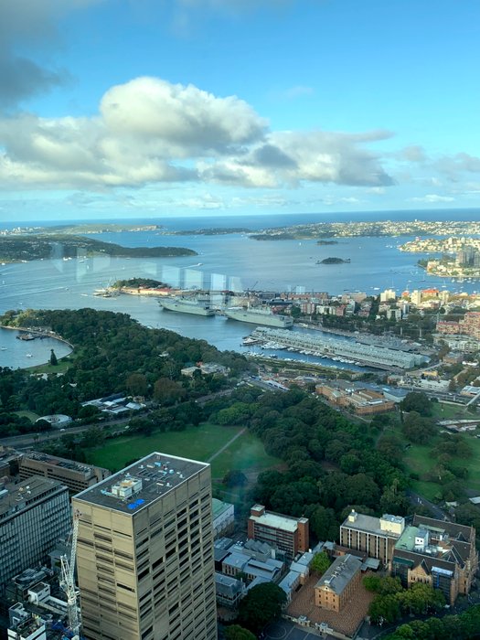 La vista desde la Torre de Sydney / View from Sydney Tower / Widok z wieży