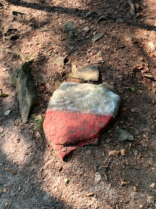 Kamień na szlaku pod Halą Redziechowską
