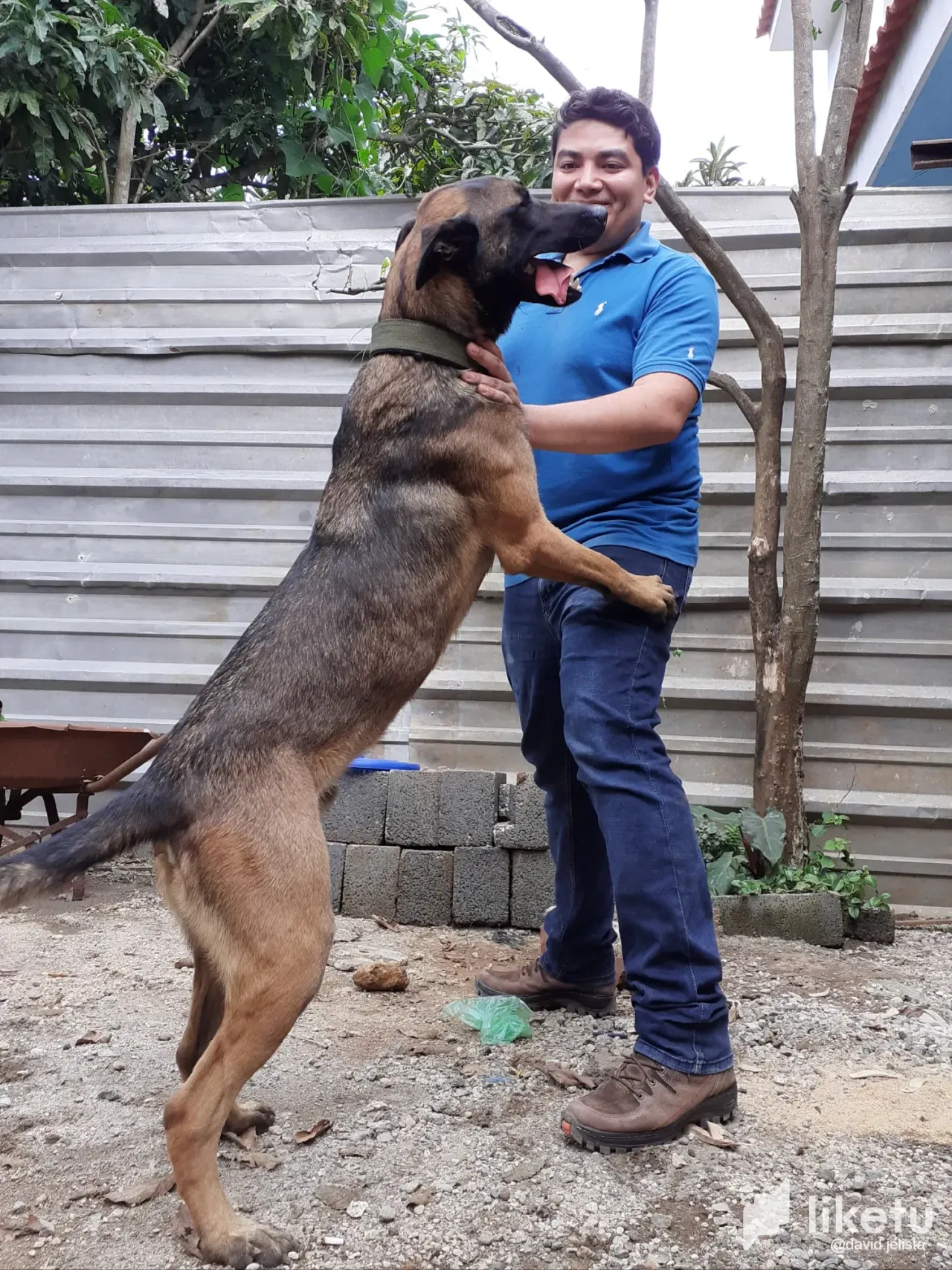 gIwQfENtvcWB4UyO_20190825_153258.webp