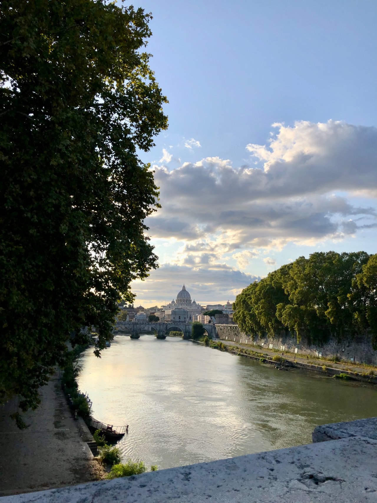 IMG_2960.jpeg