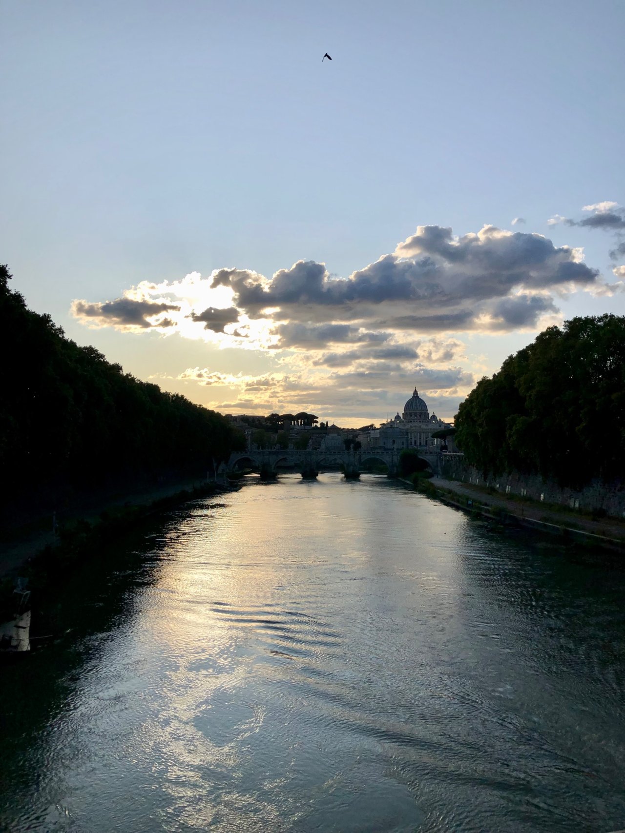 IMG_3023.jpeg