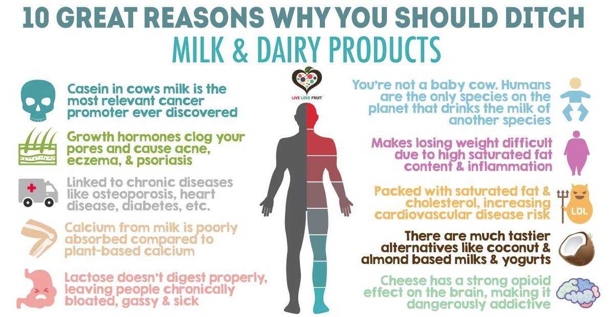Milk.jpg