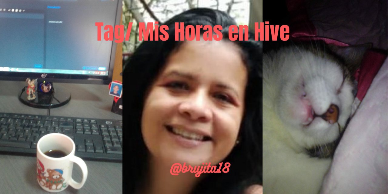 Tag Mis Horas en Hive.png