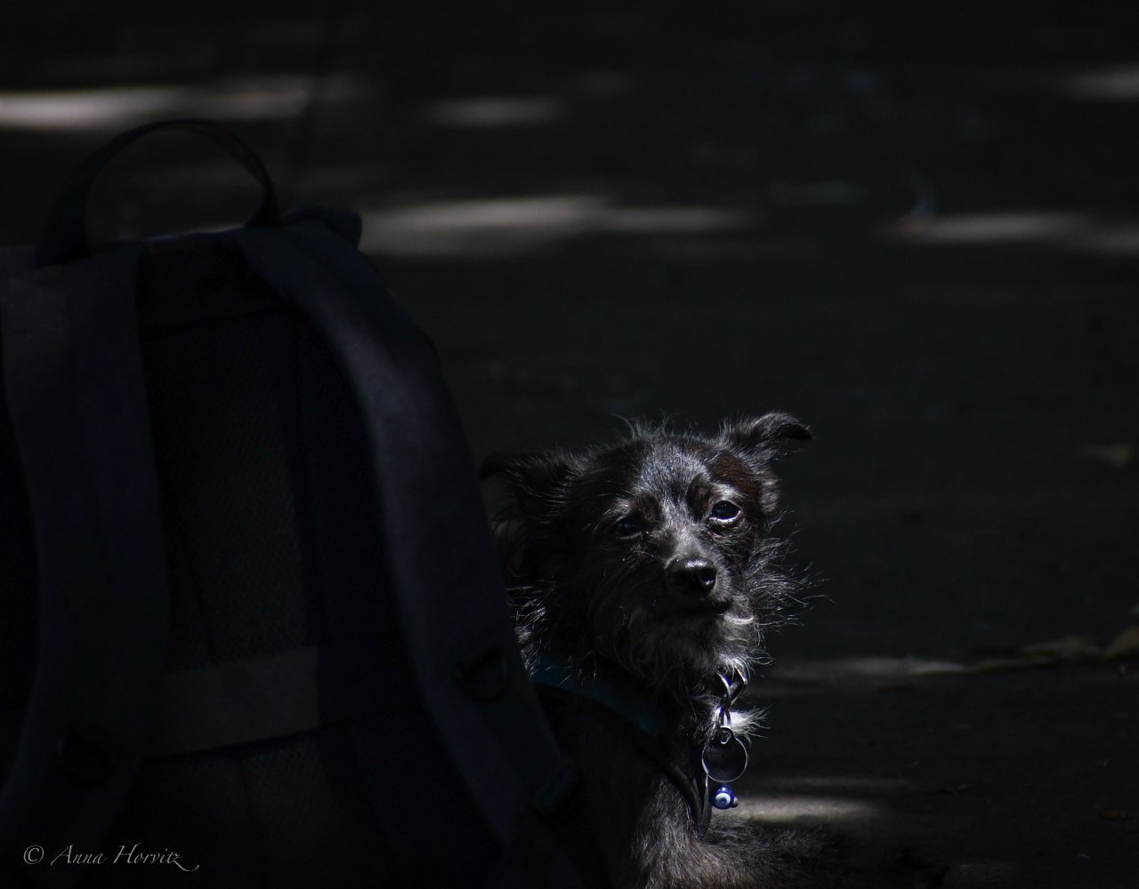DSC_3185.JPG