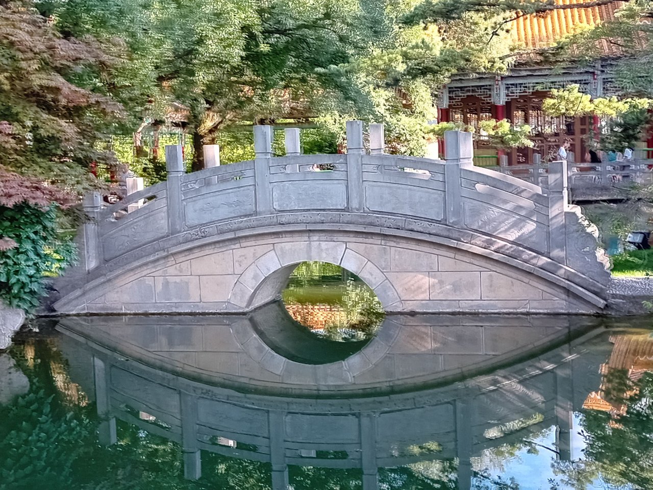 20230808_173542.jpg