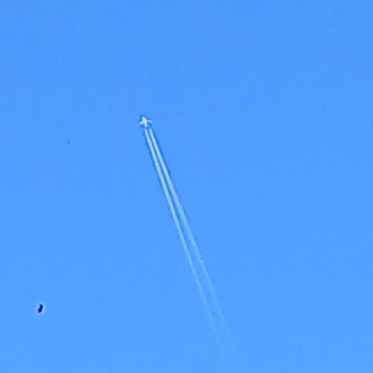 20250116_155315.jpg