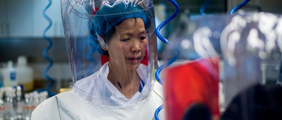 https://dailycaller.com/2021/04/07/scientists-highlight-errors-in-who-origins-report