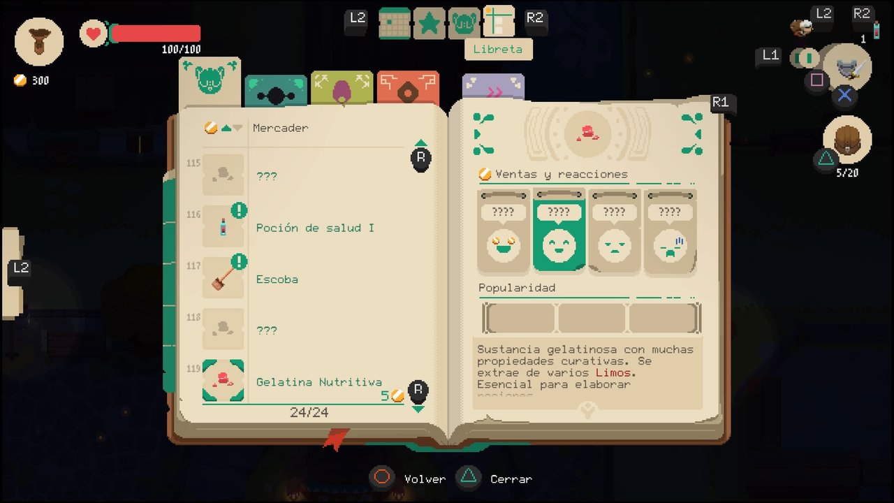 Moonlighter (17).jpg