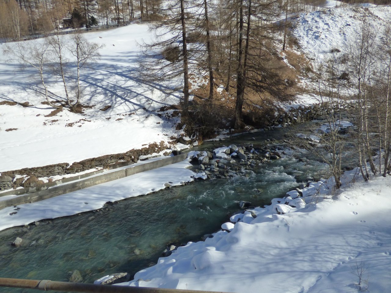 P1000191.JPG