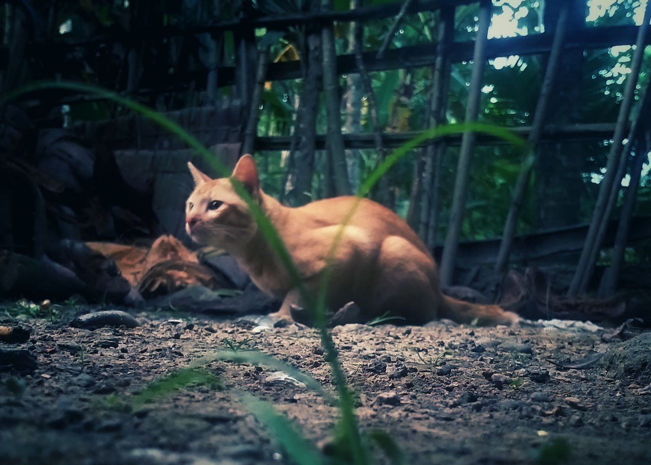 IMG20211006180418-02.jpeg
