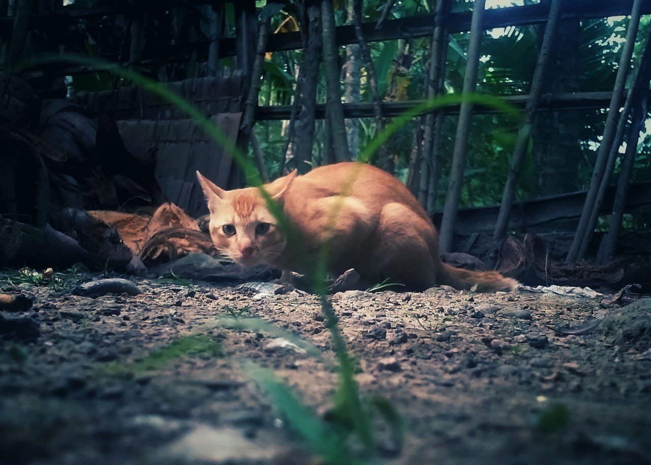 IMG20211006180414-02.jpeg