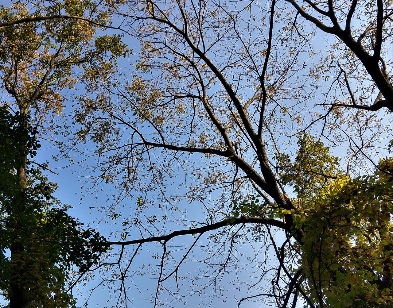 IMG_20231003_102733295_HDR.jpg