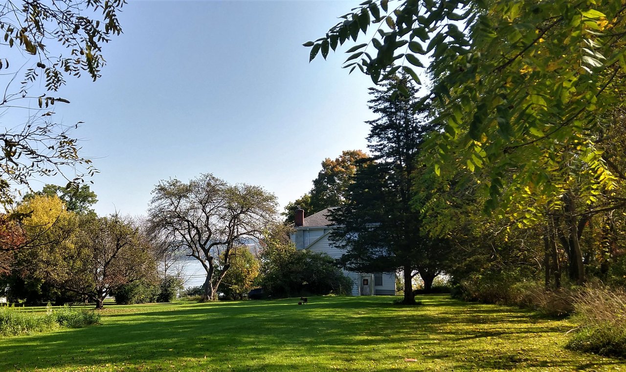 IMG_20231003_105438959_HDR.jpg