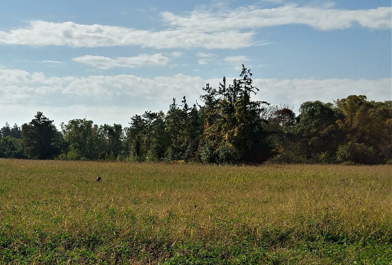 IMG_20231003_105214699_HDR.jpg