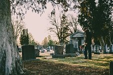 pexels-brett-sayles-3648309.jpg
