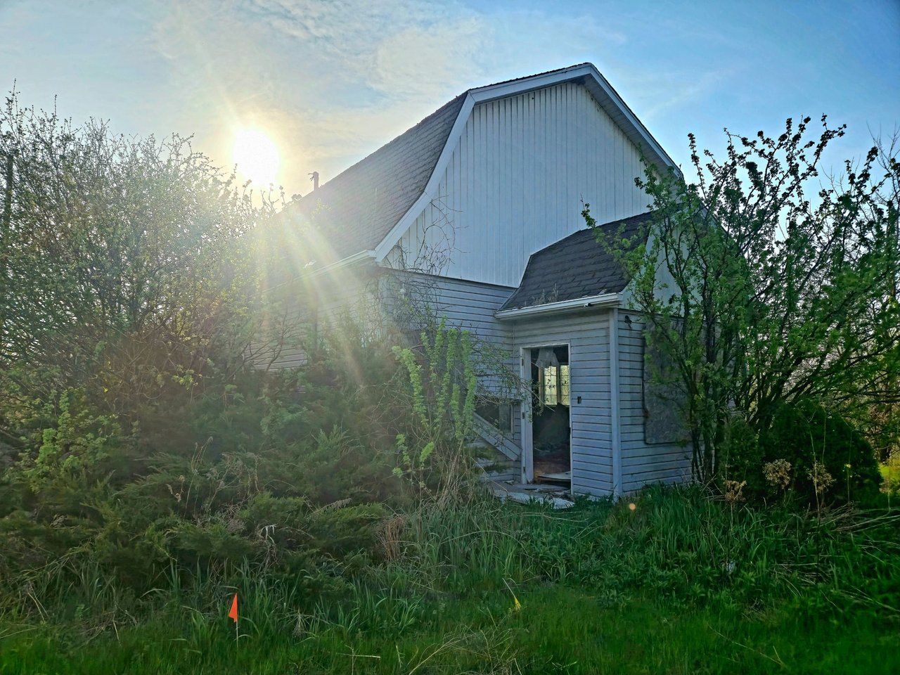 20250507_182642.jpg