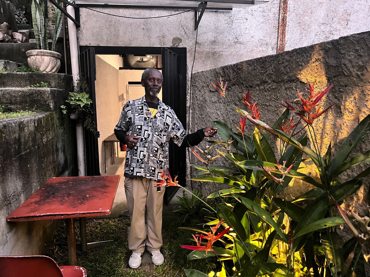 picture of anisio with the bird of paradise plants