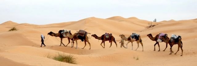 tunisia733613__340.jpg
