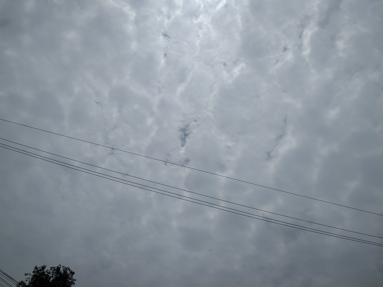 06.jpg