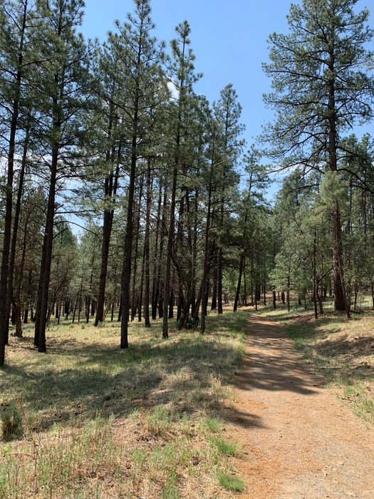 Fitness Trail at Smokey Bear Ranger District in Ruidoso, NM