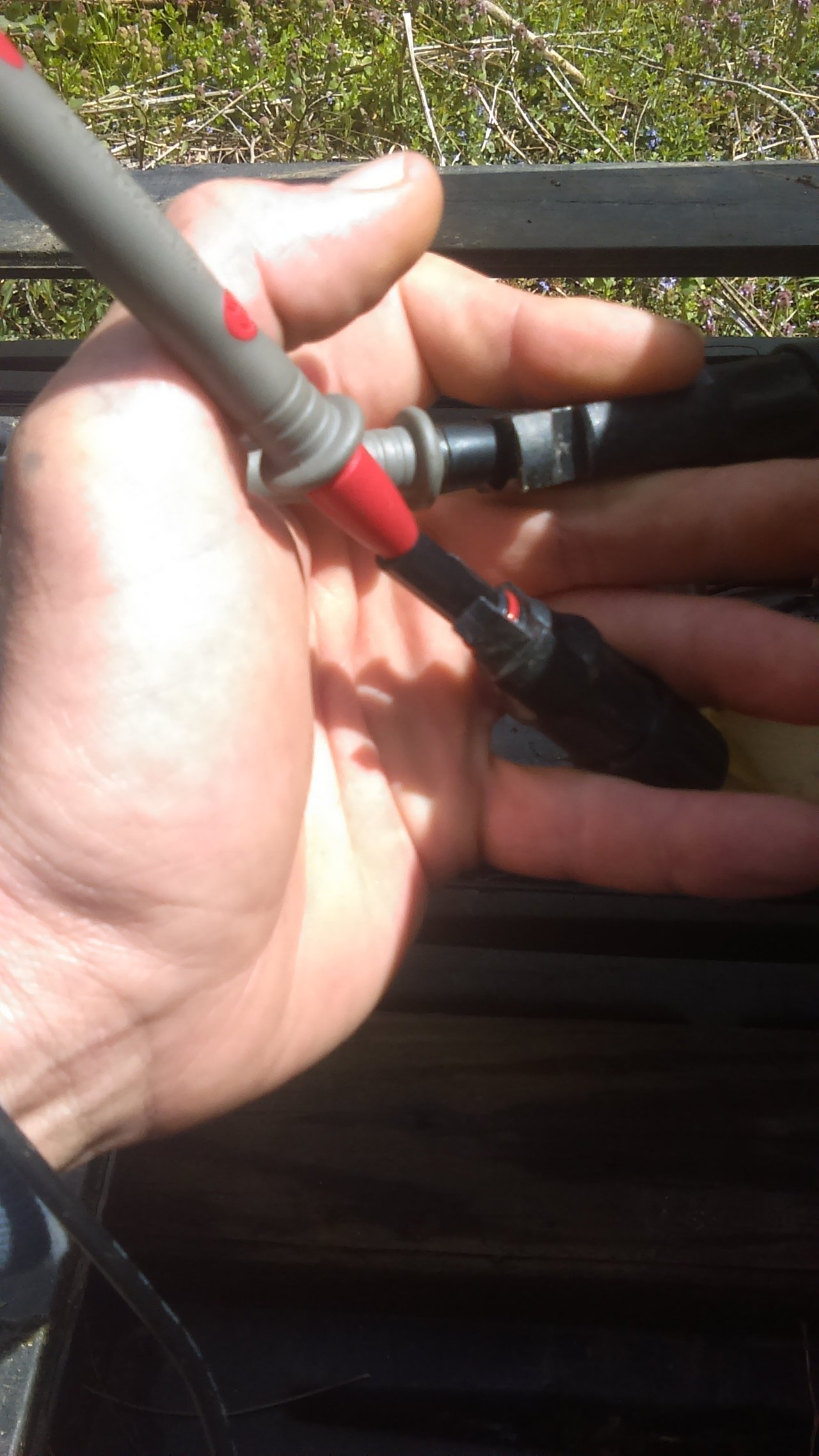IMAG1291.jpg