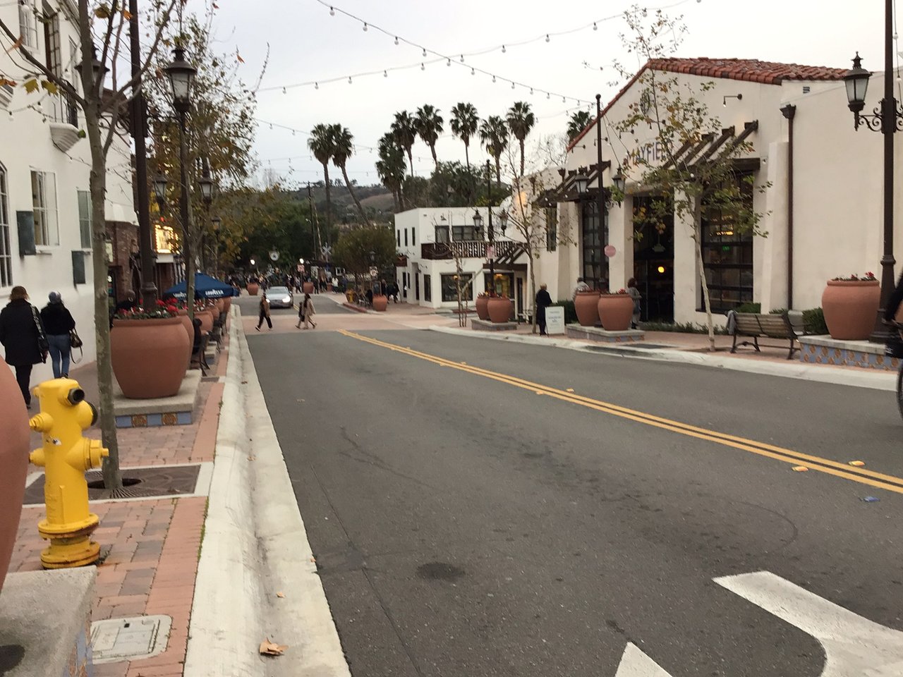 image9 (2).jpeg