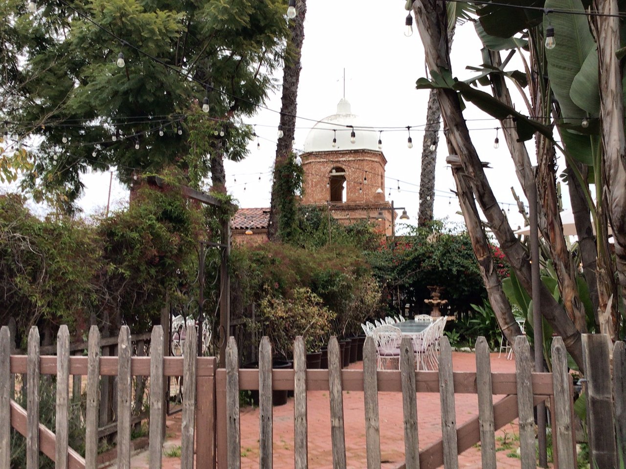 image4 (2).jpeg