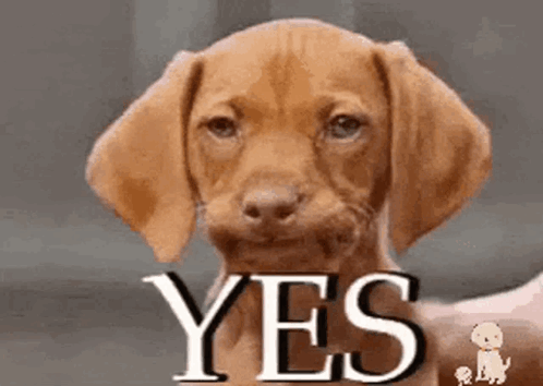 untitled.gif