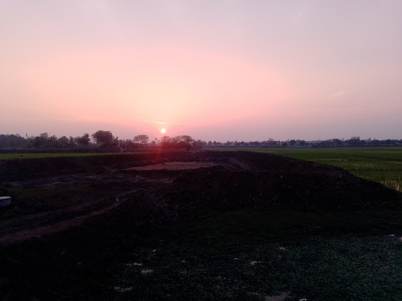 IMG_20200305_175527.jpg