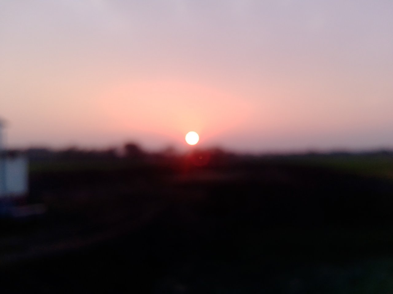 IMG_20200305_175432.jpg