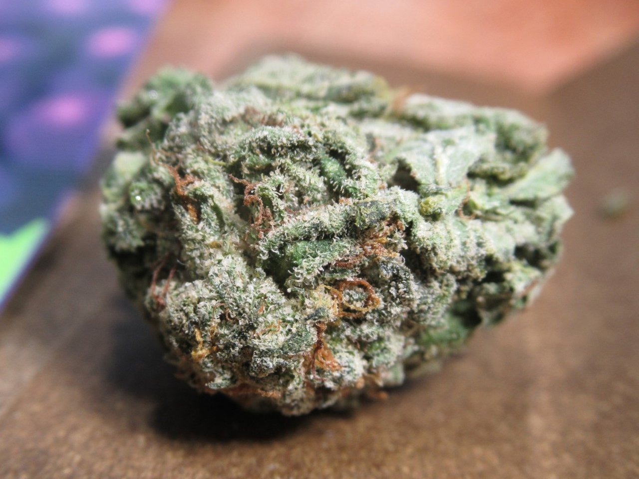 fullnugfrontbeauty2.jpg