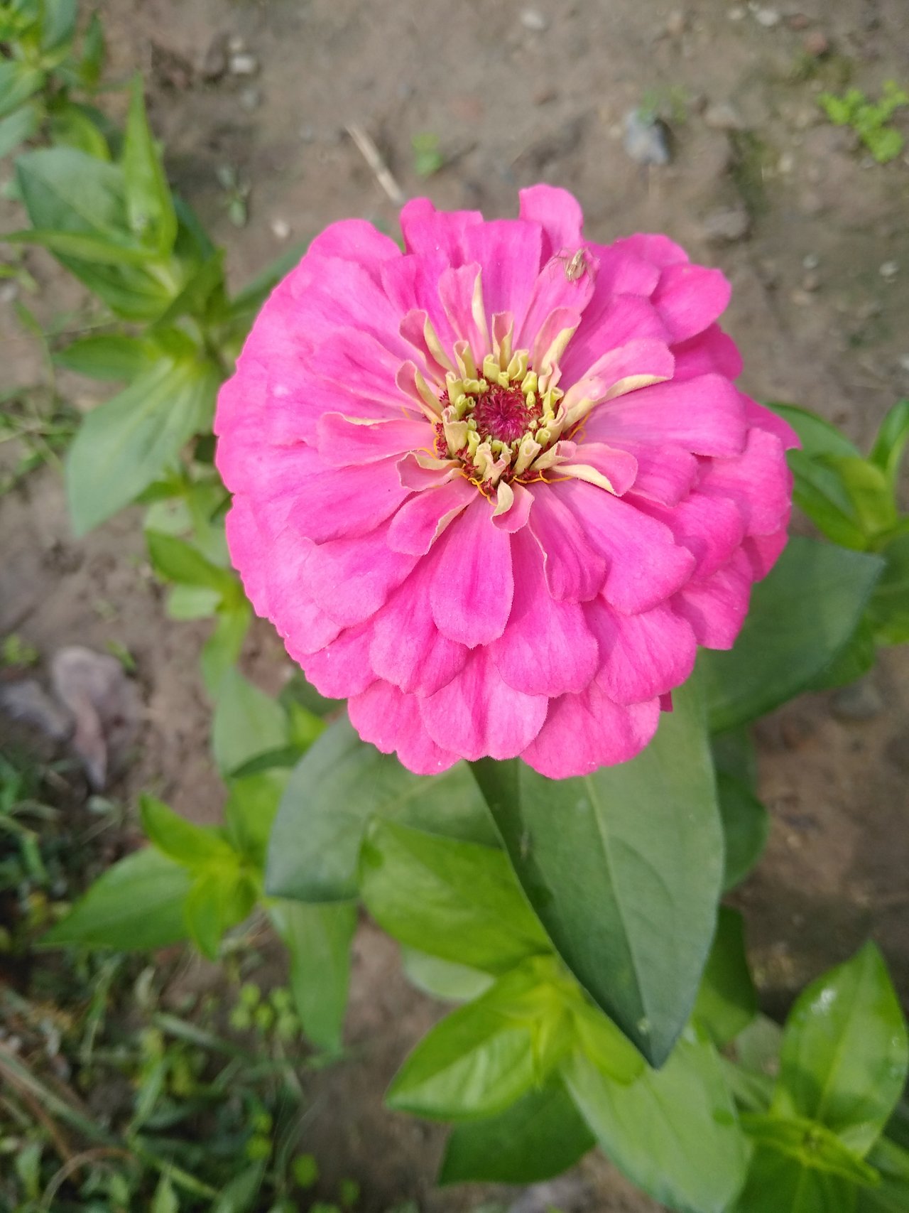 IMG_20220112_105827.jpg