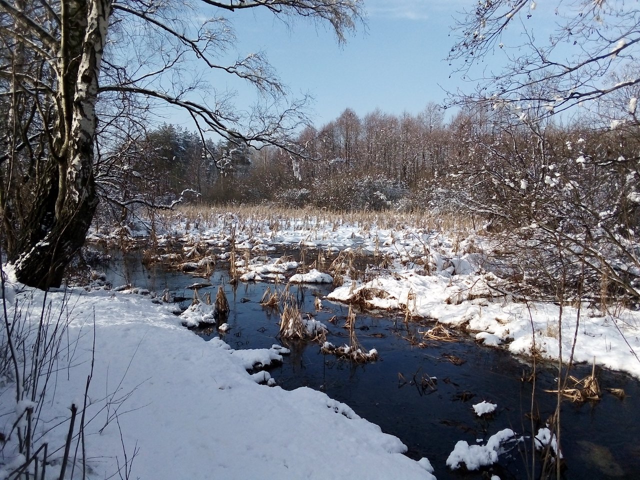 IMG_20190205_130211.jpg